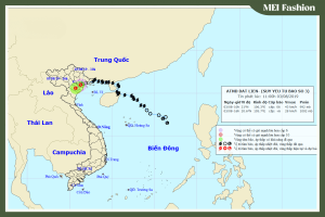 Nguồn gốc của bão Wipha 2025