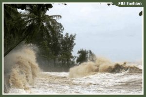 Ảnh hưởng trên biển của bão Wipha 2025