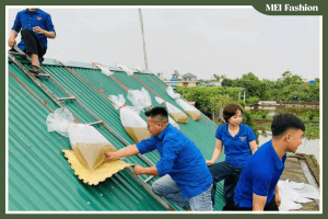 Các biện pháp phòng bão wipha 2025